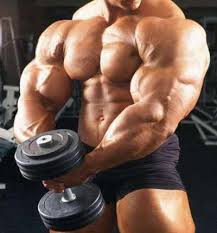 bodybuilder