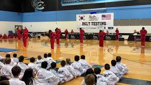 Image result for Norfolk Karate
