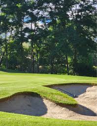 Image result for Vca Riverview Bowling Club