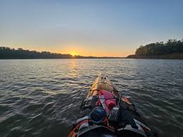 Image result for Paddletastic
