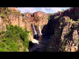 Billedresultat for kakadu n...