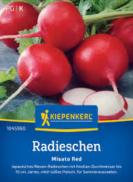Image result for Radieschen