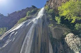 Attēlu rezultāti vaicājumam “Leporida”