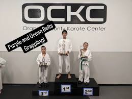 Image result for Carn Brea Karate Kai