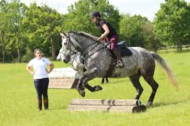 Image result for Chobham and District Riding Club