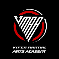 Image result for Vipers Thai/Kickboxing School