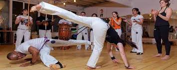 Image result for Brazilian-martial arts