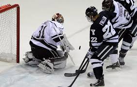 Image result for Pontypool Skater Hockey Club