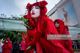 Image result for Reddish Rebels