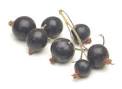 Cook's Thesaurus: Berries