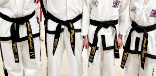 Image result for Cornwall Tae Kwon-Do