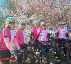 Image result for K20 Cycling Club