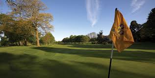 Image result for Hull Scrabble Club