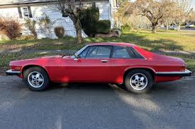 Image result for Sable Black 1982 Jaguar