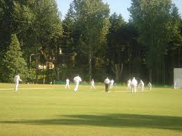 Image result for Wilden Village Cricket Club