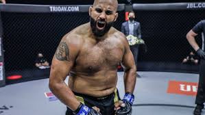 Image result for Chiltern MMA