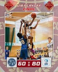 Image result for Surrey Spitfires Basketball Club