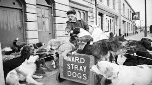 Image result for Camberley