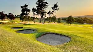 Image result for Pannal Cricket Club