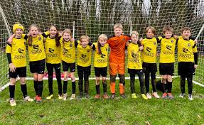 Image result for Sidmouth Town Association Football Club