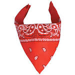 Red Dead Bandana: An Ethical Dilemma? | SometimesComic Gaming