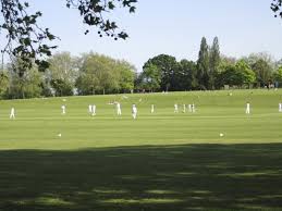 Image result for Lingfield Cricket Club