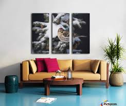 Attēlu rezultāti vaicājumam “Carduelis flammea female”