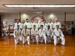 Image result for Ifield Shotokan Karate Club