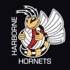 Image result for Hornets Netball Club
