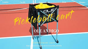 Image result for Pickleball Bournemouth