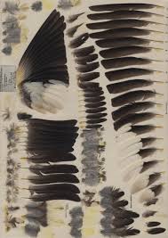 Image result for Hesperiphona vespertina