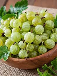 Attēlu rezultāti vaicājumam “Ribes uva-crispa fruit”