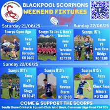 Image result for Newton - Le - Willows A R L F C