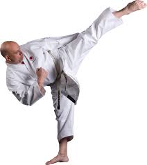 Image result for Shotokan Karate