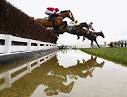 Cheltenham Festival- Ante-Post Price Update