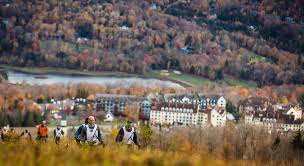 Image result for busch 8791