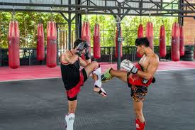 Image result for Muay Thai Clubs