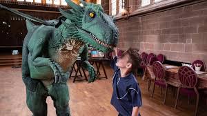 Image result for Coventry Dragons