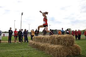 Image result for Wee County Harriers