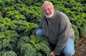 Image result for Grünkohl