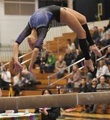 Image result for Hinckley Gymnastics Club