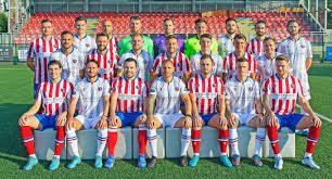 Image result for Dorking Football Club Limited