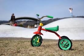 Image result for 2005早春