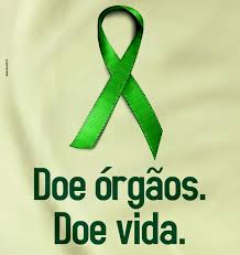 Image result for doação de órgãos