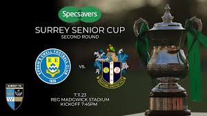 Image result for Epsom & Ewell Football Club