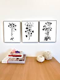 Attēlu rezultāti vaicājumam “Campanula patula flower”