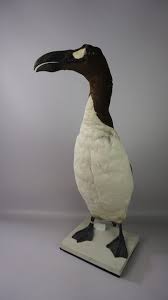 Image result for Pinguinus impennis