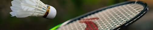 Image result for Flitwick and District Badminton Club