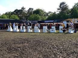 Image result for roskilde 2007