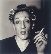 Attēlu rezultāti vaicājumam “Dianema depressum young”